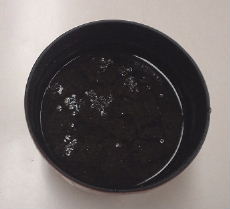 ¨�� ���ݤεۤ�ʪ