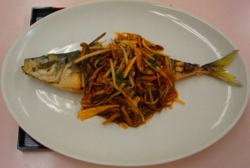 �����δſݤ��󤫤�