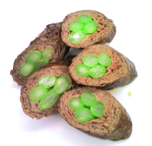 ���꡼�󥢥��ѥ�ε�������