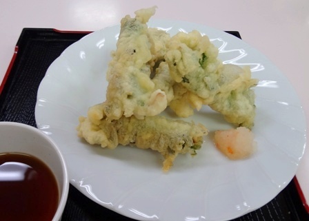 �����Τ��������Ȥ�