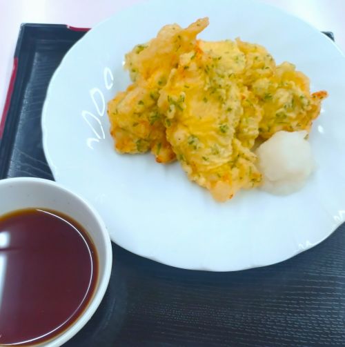 �����Τ������Ȥ�